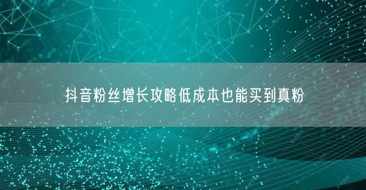 抖音粉丝增长攻略低成本也能买到真粉